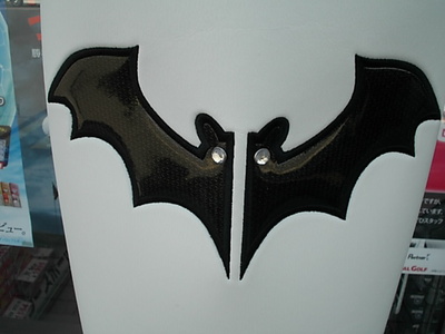 20130319003.JPG