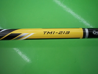 rbz2DSCI0011.JPG