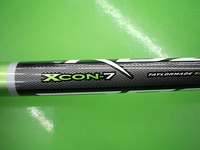 rbztsusDSCI0009.JPG