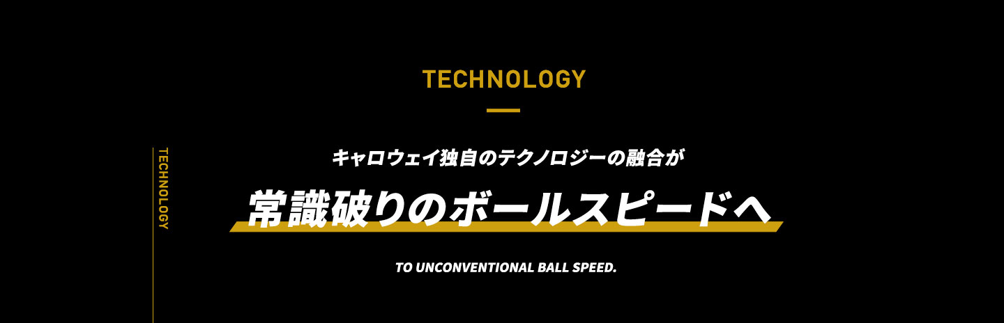 TECHNOLOGY 飛びの翼で、大空へ。アクティブウィング×リバウンドフレーム