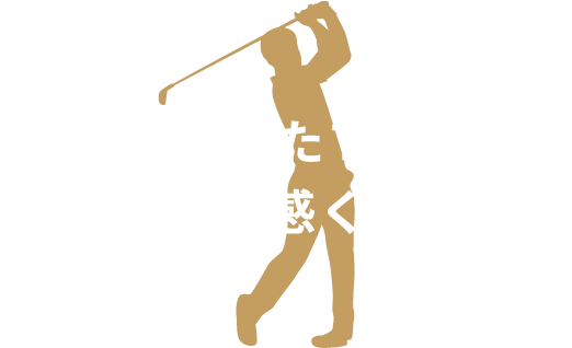 進化を遂げたTW767をぜひご体感ください