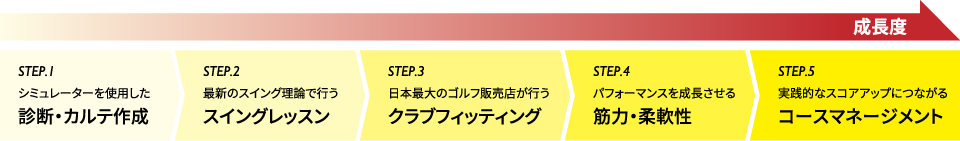 診断・カルテ作成,スイングレッスン,クラブフィッティング,筋力・柔軟性,コースマネージメント