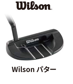 Wilson パター