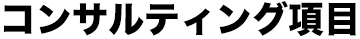 コンサルティング項目