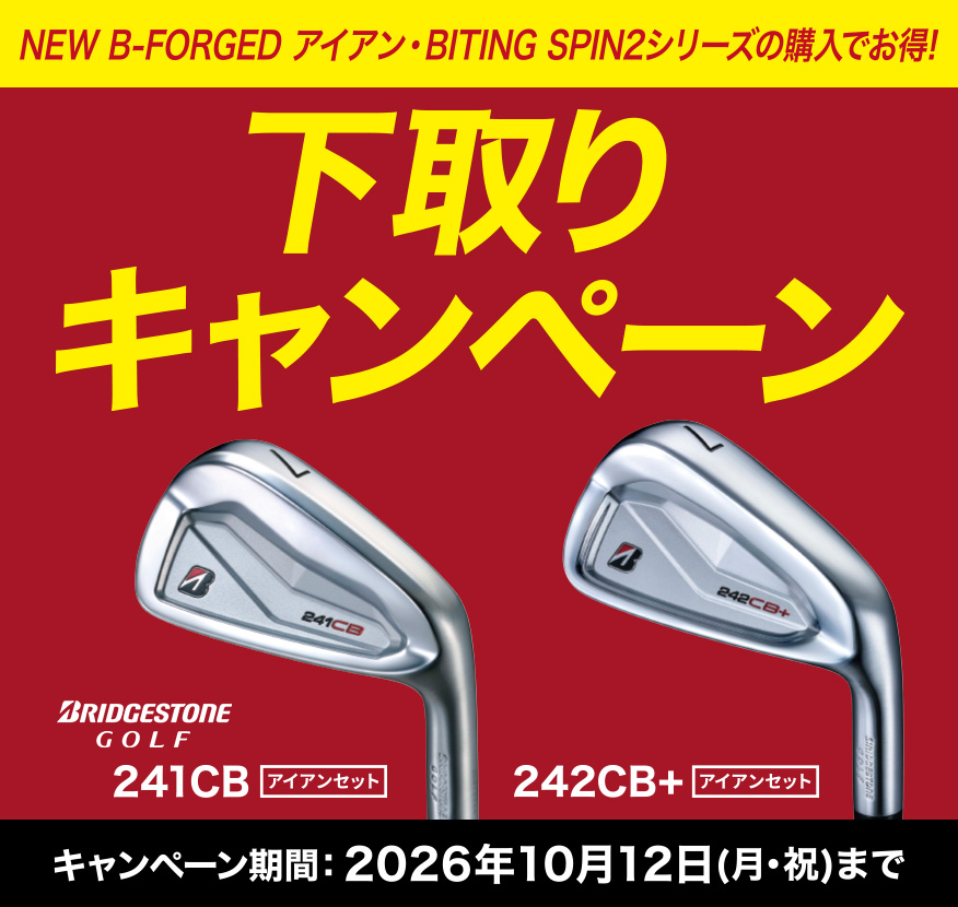 定額買取キャンペーン